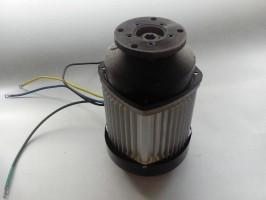 觀(guan)光(guang)車(che)電機(ji)